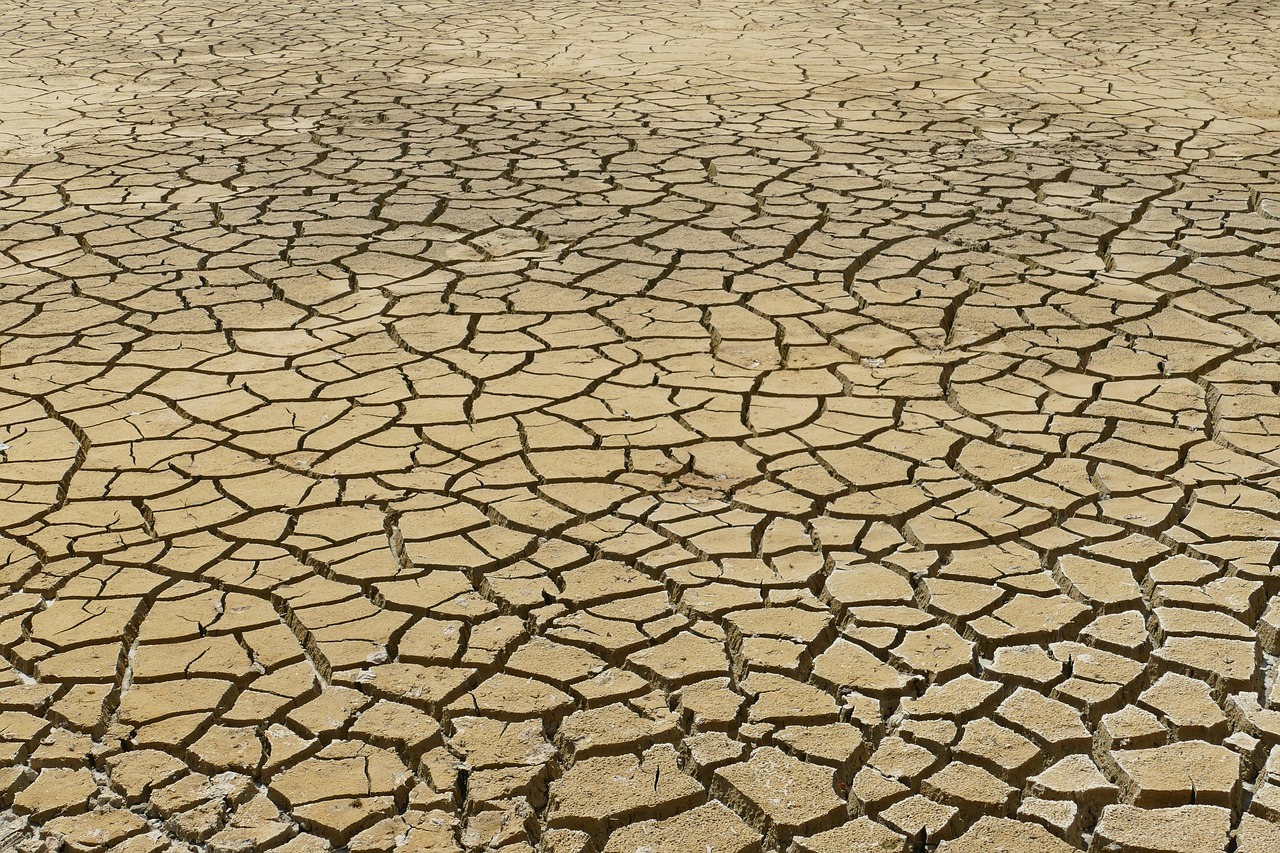 klimawandel: ursachen, auswirkungen und lösungen. erfahren sie, wie der klimawandel unsere umwelt beeinflusst und welche maßnahmen wir ergreifen können, um unsere zukunft zu schützen.