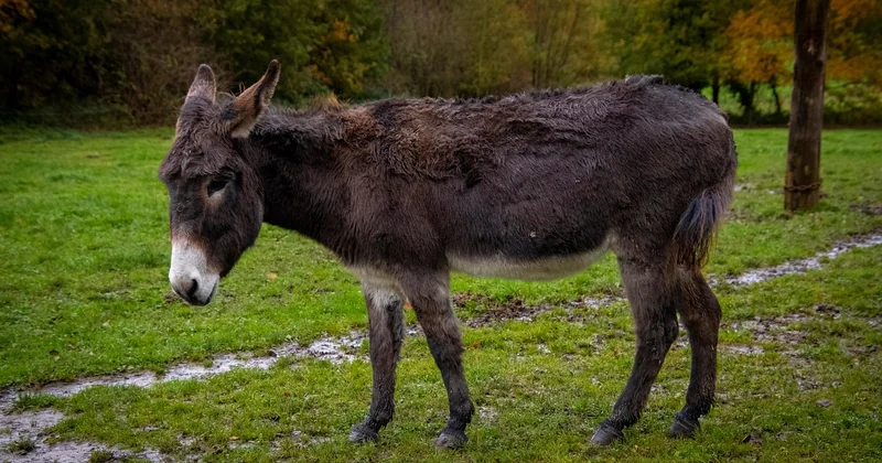 Wie lange ist Nagellackentferner haltbar?
